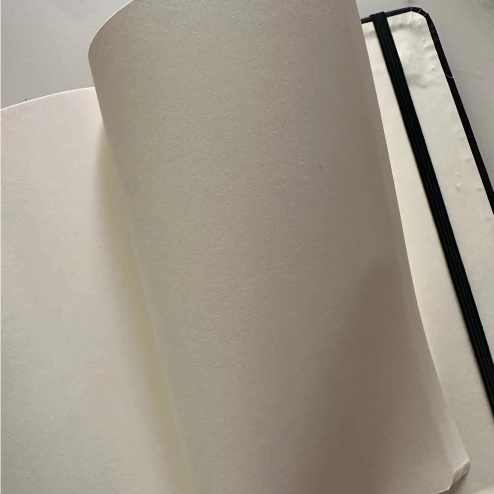 Fendi x @hey_reilly Rare collaboration Karl Lagerfeld Blank Notebook Journal …